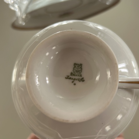 Bavarian Golden Crown (Orchard) Teacup and Saucer - Picture 5 of 5